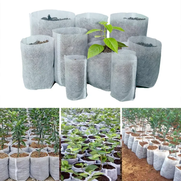 Plant Grow Bags Seedling 2