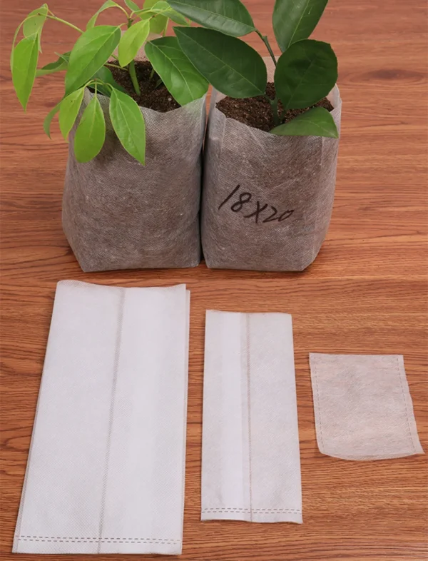 Plant Grow Bags Seedling 4