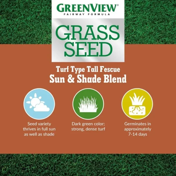 Grass Seed 3