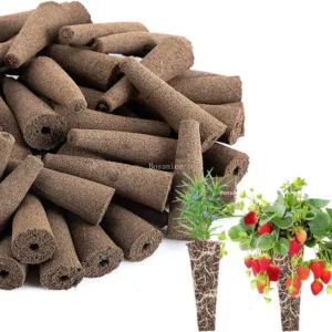 20Pcs Seed Grow Sponges 1