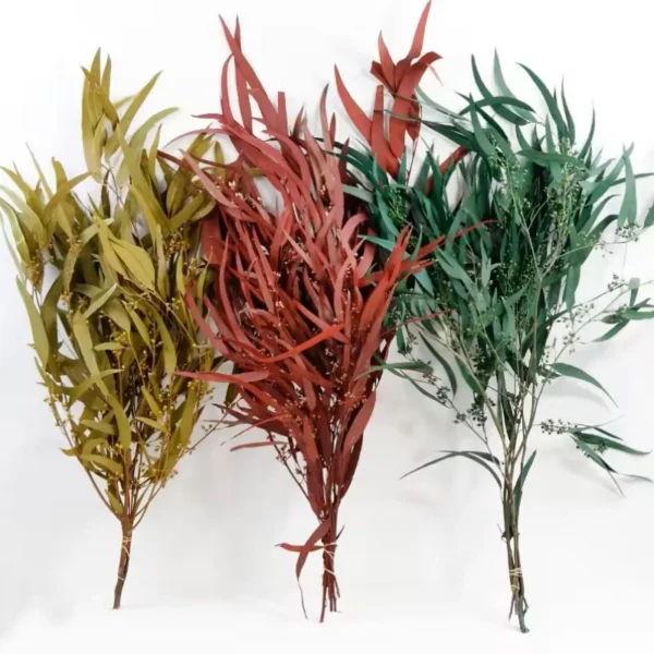 different colors preserved eucalyptus 6