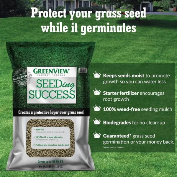 Grass Seed 4