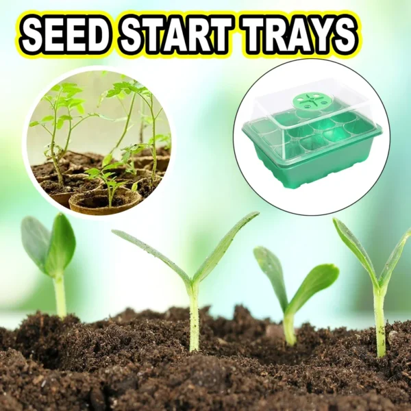 12 Holes Seed Starter Tray 3