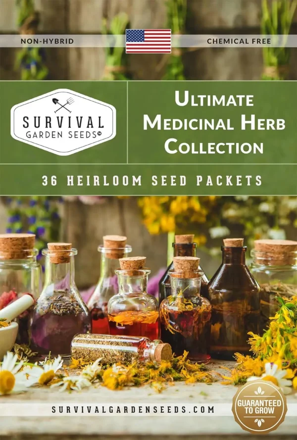 36 Variety Pack of Herb Seeds 2