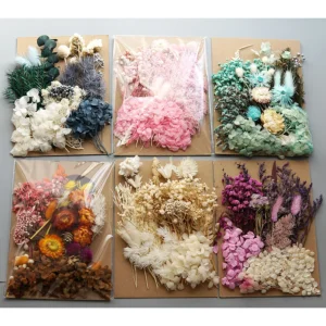 Dried Real Flowers 1