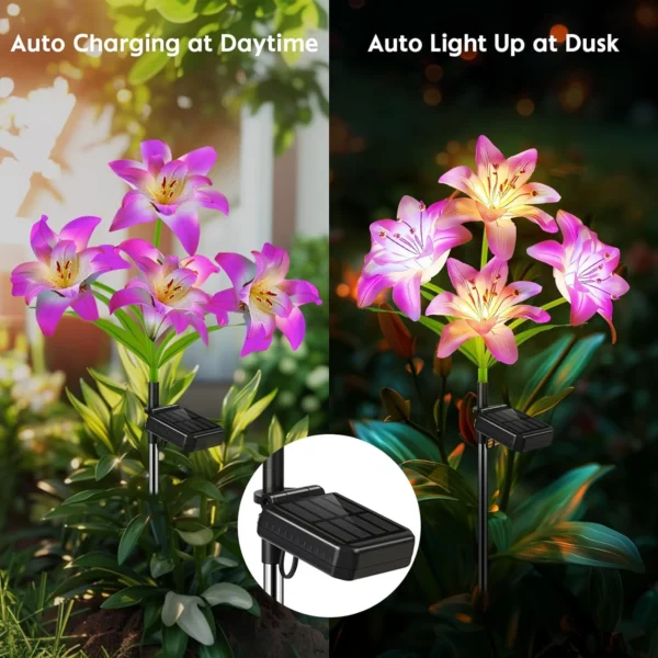 LED Solar Lily Flowers 3