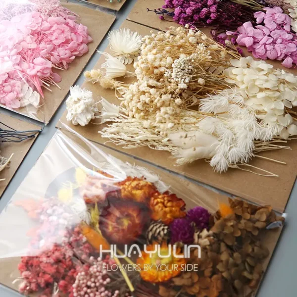 Dried Real Flowers 4