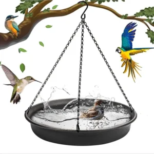 Hanging Bird Bath Tray 1